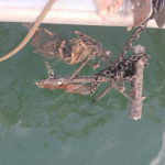 Arrived in Kuala Belait – Belait, Brunei – Borneo Island